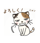 隣家の三毛猫（個別スタンプ：6）