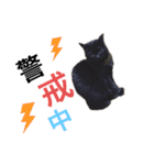 気まぐれにゃあ子（個別スタンプ：2）