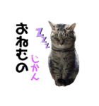 気まぐれにゃあ子（個別スタンプ：14）