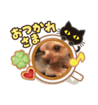 こたけい（個別スタンプ：7）