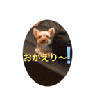 こたけい（個別スタンプ：14）