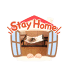 こたけい（個別スタンプ：24）