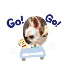 こたけい（個別スタンプ：39）