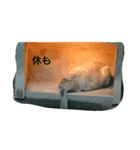動物スタンプ               笑える 可愛い（個別スタンプ：10）