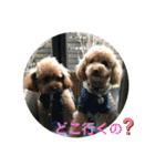 Moka＆Koo感染予防スタンプ①（個別スタンプ：2）