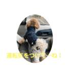Moka＆Koo感染予防スタンプ①（個別スタンプ：3）