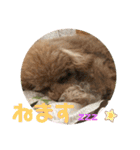 気持ち伝えるスタンプ（個別スタンプ：5）