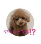 気持ち伝えるスタンプ（個別スタンプ：6）