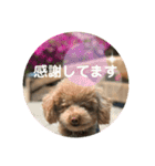 気持ち伝えるスタンプ（個別スタンプ：10）