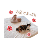 充希ちゃんスタンプ（個別スタンプ：23）