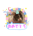 はな坊の一日（個別スタンプ：6）