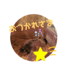 はな坊の一日（個別スタンプ：8）