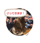 はな坊の一日（個別スタンプ：9）