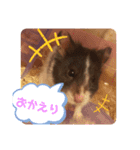 はな坊の一日（個別スタンプ：10）