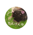 はな坊の一日（個別スタンプ：15）