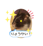 はな坊の一日（個別スタンプ：23）