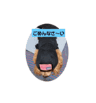 うちの可愛いモカちゃん（個別スタンプ：2）