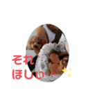 うちの可愛いモカちゃん（個別スタンプ：10）