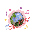 お花で遊ぼう5（個別スタンプ：4）