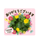 お花で遊ぼう5（個別スタンプ：11）
