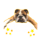 English Bulldog とうふ スタンプ（個別スタンプ：7）
