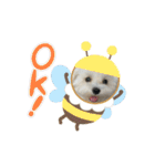 ちゅらとちわ。（個別スタンプ：13）