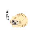 ちゅらとちわ。（個別スタンプ：21）
