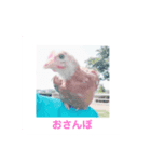 からあげちゃん☆（個別スタンプ：7）