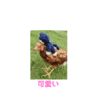 からあげちゃん☆（個別スタンプ：8）