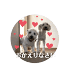 R ＆G（個別スタンプ：8）