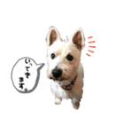 R ＆G（個別スタンプ：10）