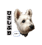 R ＆G（個別スタンプ：11）