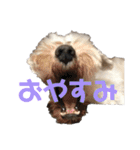 R ＆G（個別スタンプ：12）