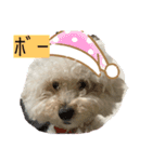 可愛いめるちゃん  第2弾（個別スタンプ：2）
