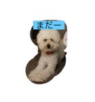 可愛いめるちゃん  第2弾（個別スタンプ：3）