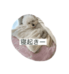 可愛いめるちゃん  第2弾（個別スタンプ：6）