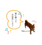 megumogmog（個別スタンプ：2）