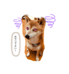 megumogmog（個別スタンプ：3）