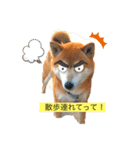 megumogmog（個別スタンプ：4）