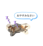 megumogmog（個別スタンプ：8）