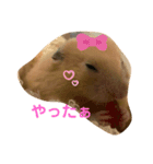 だいすきピー乃助two（個別スタンプ：6）