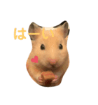 だいすきピー乃助two（個別スタンプ：8）