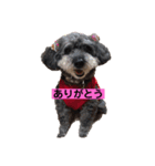めいちゃん〜日常編②〜（個別スタンプ：3）