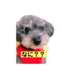 めいちゃん〜日常編②〜（個別スタンプ：4）