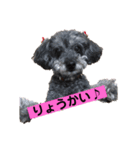 めいちゃん〜日常編②〜（個別スタンプ：6）