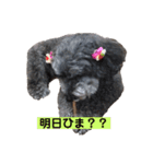 めいちゃん〜日常編②〜（個別スタンプ：7）