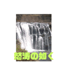ポンちゃんのあいさつ（個別スタンプ：10）