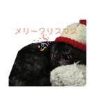 うちのDIOちゃん♡♡（個別スタンプ：14）