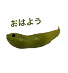 えだまめちゃんの日常会話（個別スタンプ：1）