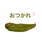 えだまめちゃんの日常会話（個別スタンプ：2）